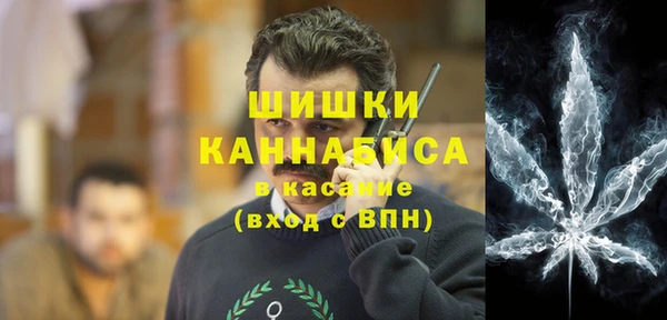 прущие грибы Куйбышев