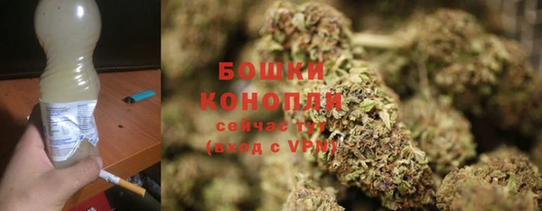 эйфоретик Кукмор