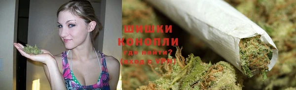 прущие грибы Куйбышев