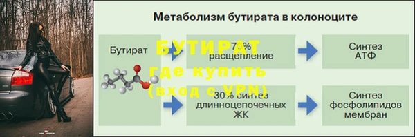 прущие грибы Куйбышев