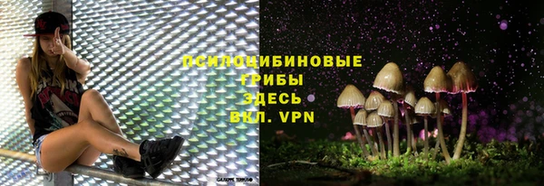 эйфоретик Кукмор