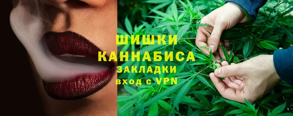 эйфоретик Кукмор
