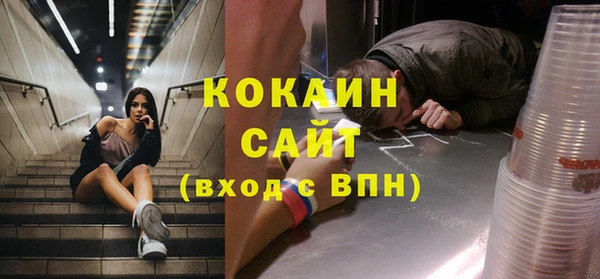 прущие грибы Куйбышев
