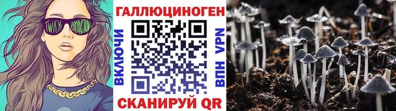 Купить где  Новоузенск  Галлюциногенные грибы GOLDEN TEACHER 