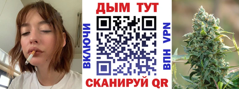 Купить закладки  Новоузенск  Бошки Шишки сатива 